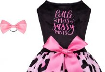 CuteBone Little Miss Sassy Pants Dress Review: Stylish & Cozy for Small Dogs