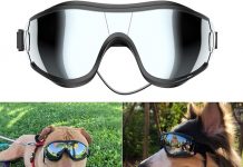 Ultimate Review: Are NVTED Dog Sunglasses Worth It for Your Pet’s Eye Protection?