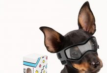 PETLESO Dog Goggles Review: Are They the Ultimate UV Protection for Small Breeds?
