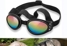 QUMY Dog Sunglasses Review: Are They Worth the Hype for Your Active Pup?