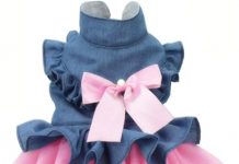 ANIAC Pet Denim Dress Review: Worth the Hype? Stylish, Comfy & Perfect for Small Pets
