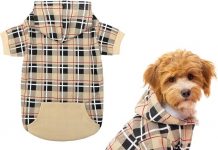 EXPAWLORER Plaid Dog Hoodie Review: Stylish, Warm, & Worth the Price for Your Pet?