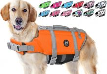 EMUST Dog Life Jacket Review: Does It Deliver on Safety, Comfort & Durability for Water Dogs?
