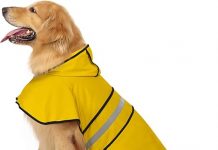 HDE Dog Raincoat Hooded Slicker Poncho Review: Is It Worth It for Keeping Your Dog Dry?