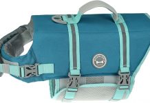 VIVAGLORY Dog Life Jacket Review: Is It Worth the Hype for Safe Boating & Swimming?