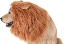 Realistic Lion Mane for Dogs Review: Worth the Roar or Just a Furry Fad?