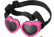 Is the Lewondr Small Dog Sunglasses Worth It? An In-Depth Review of Protection & Style