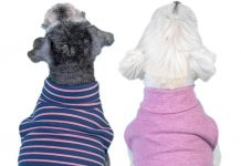 KYEESE 2Pack Dog Coat Review: Is This Stretchy Fleece Worth Your Investment?