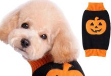 Pet Clothes Halloween Pumpkin Sweater Review: Is It Worth Your Furry Friend?