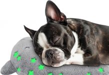 Dog Calming Pillow Review: A Critical Look at Comfort, Anxiety Relief, & Sleep Quality