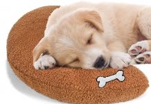 Ucho Dog Calming Pillow Review: Is This the Ultimate Comfort for Your Pet?
