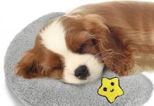 Dog Calming Sleeping Improve Pillow Review: Is It Worth Your Pet’s Comfort?