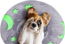 Glow-in-the-Dark U-Shaped Calming Pet Pillow Review: Is It Worth the Hype for Your Pets?