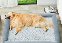 WNPETHOME Washable Dog Bed Review: Is This the Ultimate Comfort for Your Large Dog?