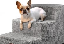 Dog Steps Review: Evaluating the Best 3-Step Solution for Small Dogs and Cats
