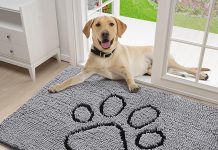 Smiry Dog Door Mat Review: Is This Absorbent Mat Worth Your Investment?