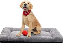 Dog Beds Crate Pad Review: Is This Ultra-Soft, Washable Mat Worth It for Your Pup?