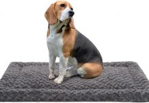 Washable Dog Bed Mat Review: Is This Fluffy Crate Pad Worth It for Your Pet?
