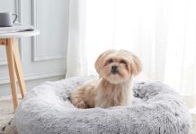 Western Home WH Calming Dog & Cat Bed Review: Worth the Hype for Pet Comfort?