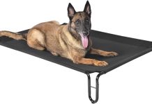 Pettycare Elevated Outdoor Dog Bed Review: Is It Worth the Investment for Your Dog?