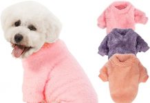 Review: Are These Ultra-Soft Dog Sweaters Worth It for Your Small Pup This Winter?