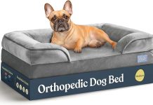 Orthopedic Sofa Dog Bed Review: Is It the Ultimate Comfort Solution for Medium Dogs?
