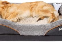 JOYELF X-Large Memory Foam Dog Bed Review: Is It Worth the Investment for Your Pet?