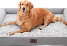 Orthopedic Large Dog Bed Review: Comfort, Durability, & Value for Your Pet’s Sleep