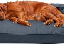Furhaven Orthopedic Dog Bed Review: Is This Washable Bolstered Bed Worth It for Large Dogs?