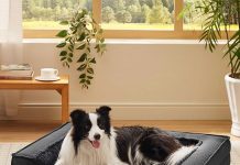 Bedsure Orthopedic Dog Bed Review: Is This Plush Foam Bed Worth Your Investment?