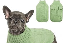 Queenmore Small Dog Pullover Sweater Review: Is This Cold Weather Knit Worth It?