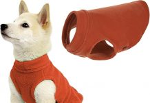 Gooby Stretch Fleece Vest Review: Is This Cozy Dog Sweater Worth the Hype?