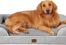 EHEYCIGA Orthopedic Dog Bed Review: Is This XL Memory Foam Bed Worth the Hype?