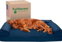 Furhaven Orthopedic Dog Bed Review: Comfort & Support for Large Dogs Uncovered!