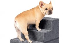 EHEYCIGA Dog Stairs Review: Are These 4-Step Pet Steps Worth It for Small Dogs & Cats?
