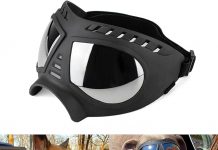 Is the Namsan Dog Goggles Worth It? A Critical Review of Dog Eye Protection