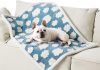 Lesure Waterproof Dog Blanket Review: Is This Cozy Essential Worth the Investment?