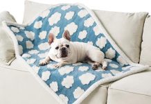 Lesure Waterproof Dog Blanket Review: Is This Cozy Essential Worth the Investment?