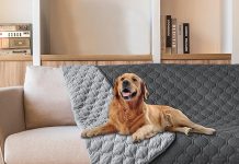 gogobunny Dog Bed Cover Review: Is This Waterproof Protector Worth Your Investment?