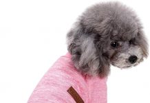 Jecikelon Dog Sweater Review: Is This Cozy Outfit Worth the Hype for Your Pet?