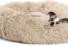 Review: Is the Best Friends by Sheri Calming Donut Bed Worth It for Your Pet?