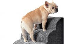 Is the EHEYCIGA Curved Dog Stairs Worth It? A Critical Review of Features & Benefits