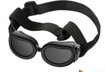 Is the Lewondr Dog Sunglasses Worth It? An In-Depth Review of Style & Protection