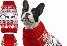 Christmas Dog Sweater Review: Is This Cozy, Warm Turtleneck Worth the Hype?