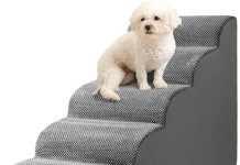 Dog Stairs Review: Are These Lightweight, Durable Steps Worth It for Your Pet?