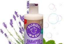 Best Natural Dog Shampoo and Conditioner: Can This 2-in-1 Formula Transform Bath Time?