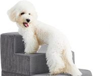 Lesure Dog Stairs Review: Are These Steps Worth It for Your Pet’s Comfort & Safety?