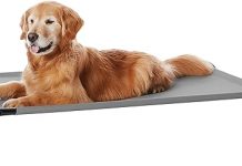 Amazon Basics Cooling Elevated Dog Bed Review: Is It Worth It for Large Dogs?