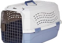 Amazon Basics 2-Door Pet Carrier Review: Worth It for Safe & Comfortable Pet Travel?