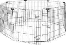 Amazon Basics Foldable Metal Exercise Playpen Review: Is It the Perfect Playpen for Your Dog?